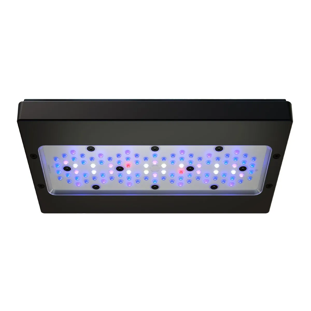 Radion XR30 G6 Blue LED Light - EcoTech