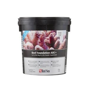 Red Sea Reef Foundation ABC