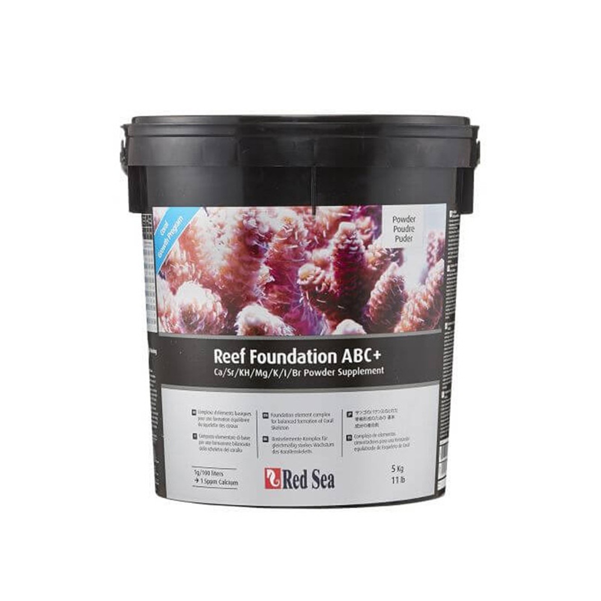 Red Sea Reef Foundation ABC Red Sea Reef Foundation ABC
