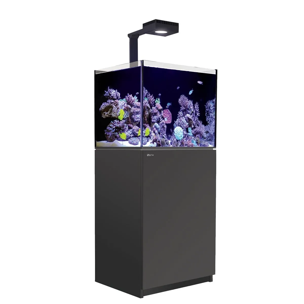 Red Sea Reefer Deluxe 170 G2+ System (34 Gal) Red Sea Reefer Deluxe 170 G2+ System (34 Gal) - Image 3