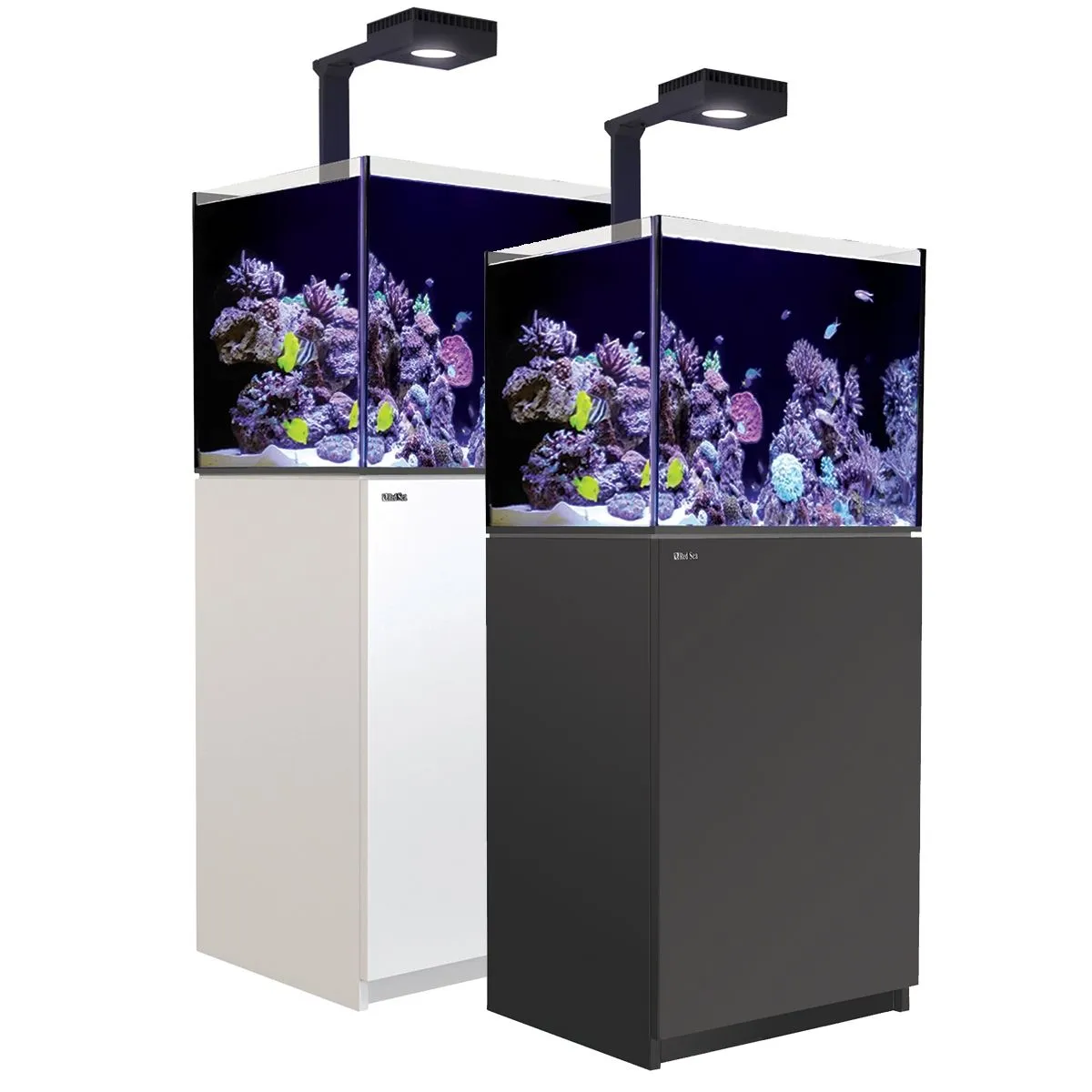 Red Sea Reefer Deluxe 170 G2+ System (34 Gal) Red Sea Reefer Deluxe 170