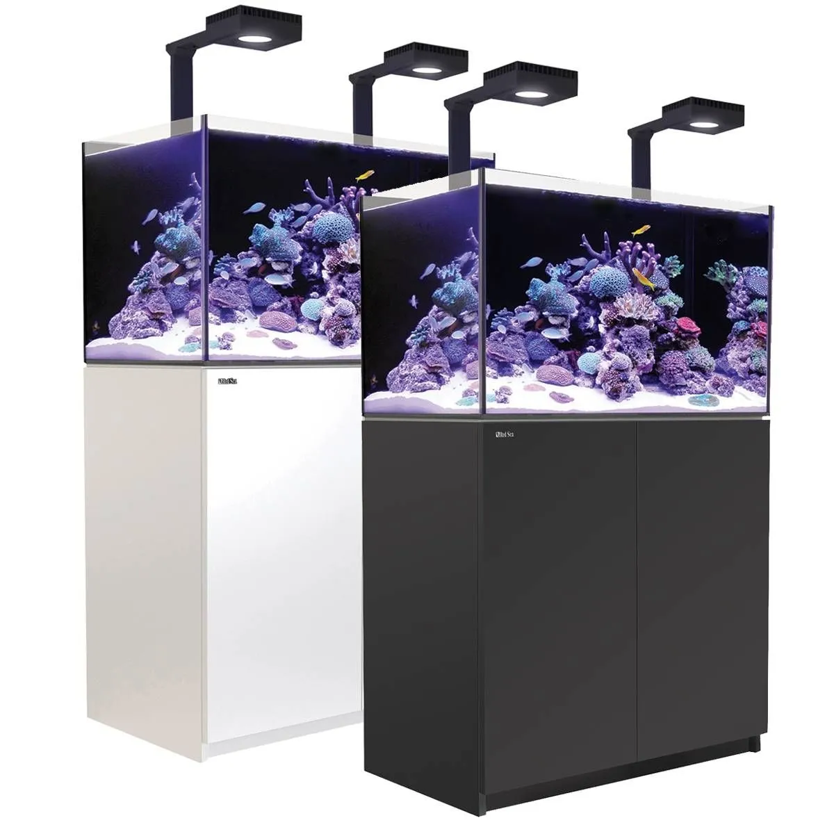 Red Sea Reefer Deluxe 250 G2+ System (54 Gal) Red Sea Reefer Deluxe 250 G2