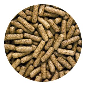 Saki Hikari Turtle Medium Long Pellet 567 Gm