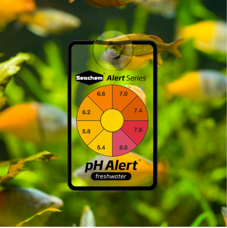 Seachem pH Alert 6 month Seachem pH Alert 6 month - Image 2