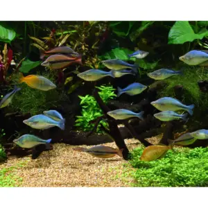 Seachem Equilibrium 300g