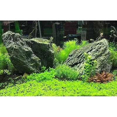 Seachem Flourish Advance 4 Litres