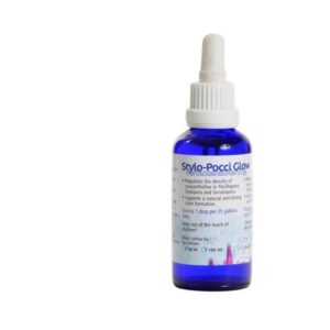 Korallen-Zucht Stylo Pocci Glow