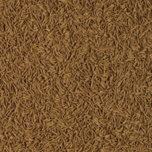 Tetra Cichlid Sticks XL
