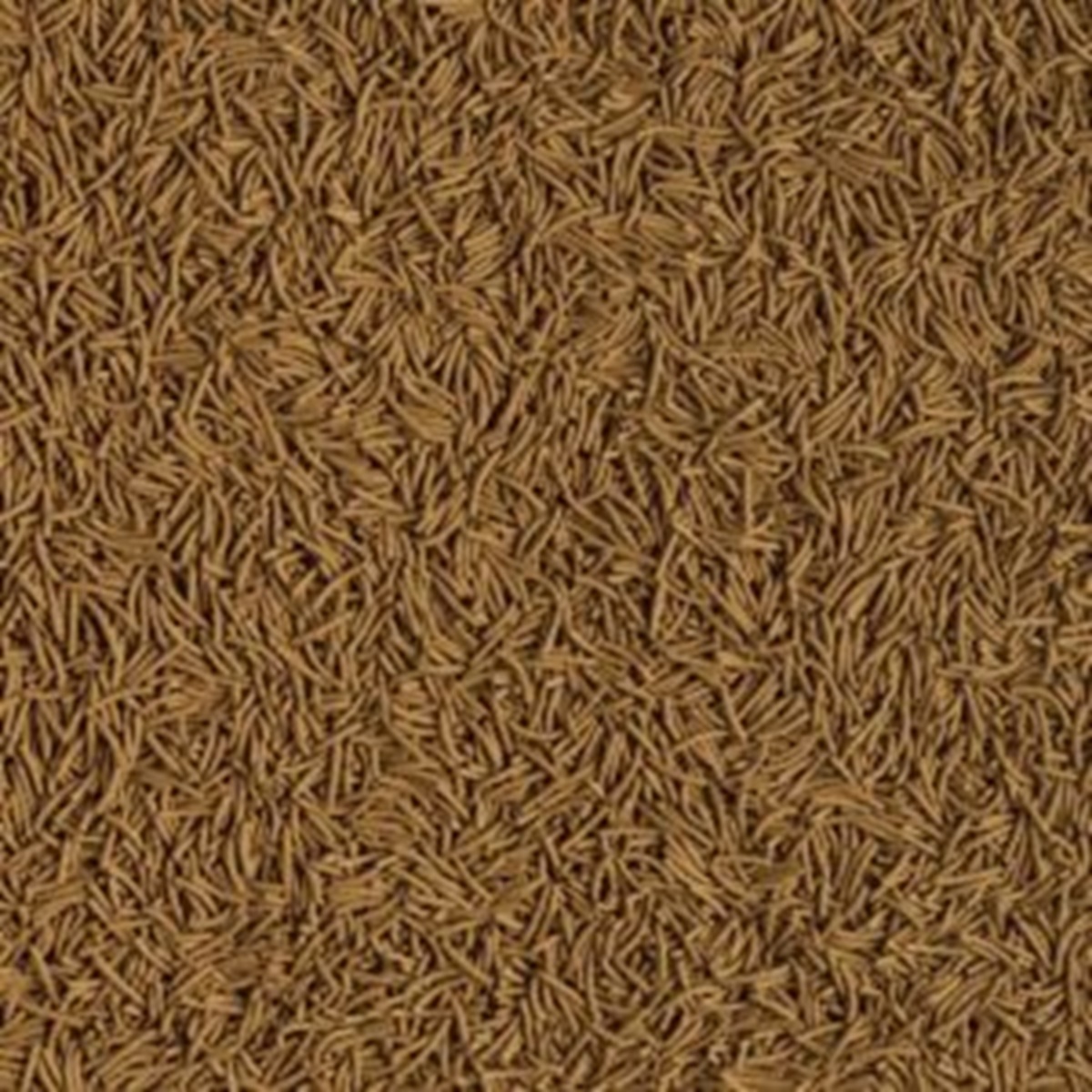 Tetra Cichlid Sticks XL Tetra Cichlid Sticks XL