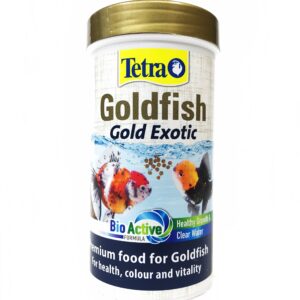Tetra Goldfish Gold Exotic