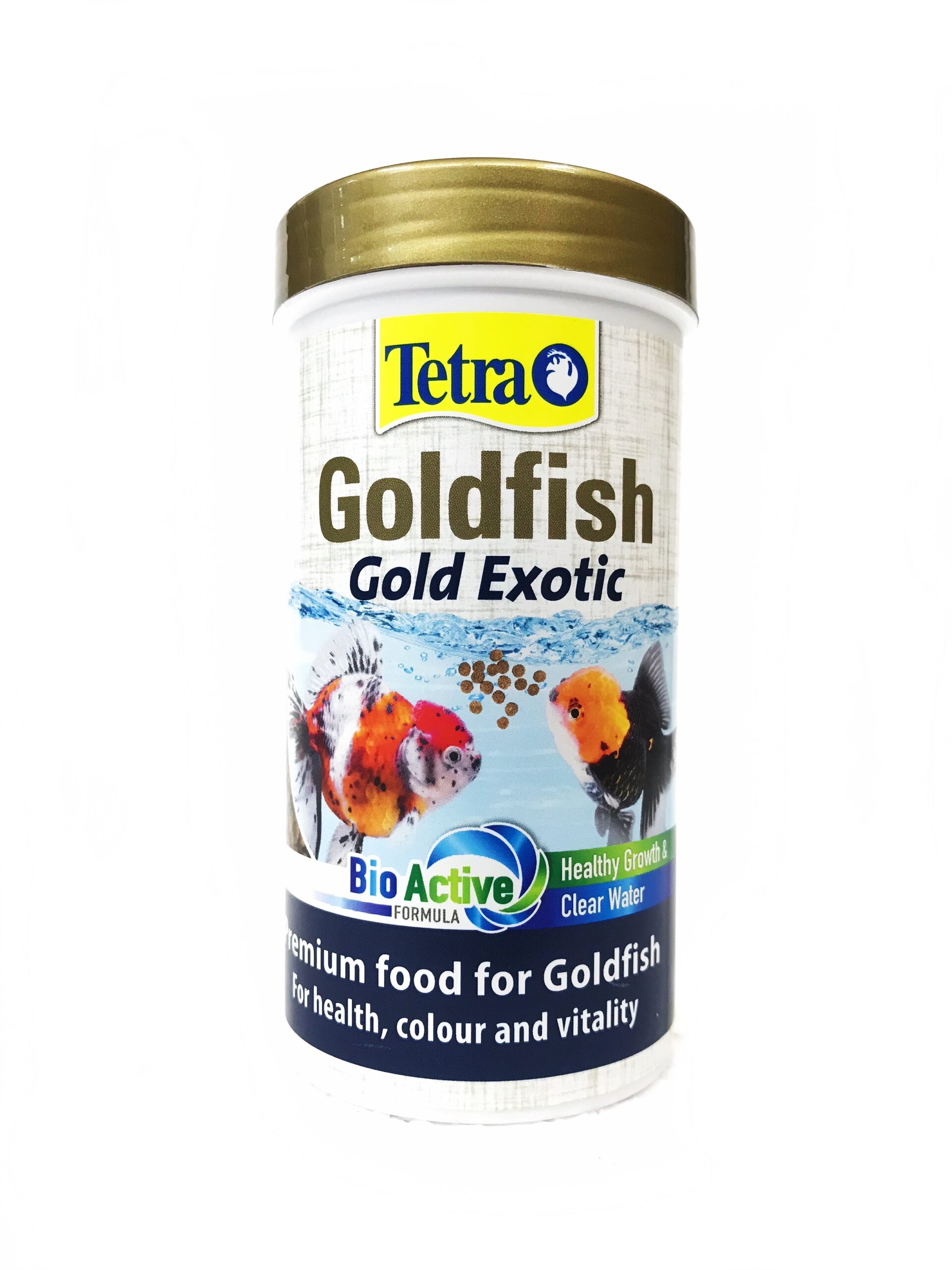 Tetra Goldfish Gold Exotic Tetra Goldfish Gold Exotic