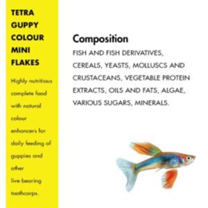 Tetra Guppy Colour