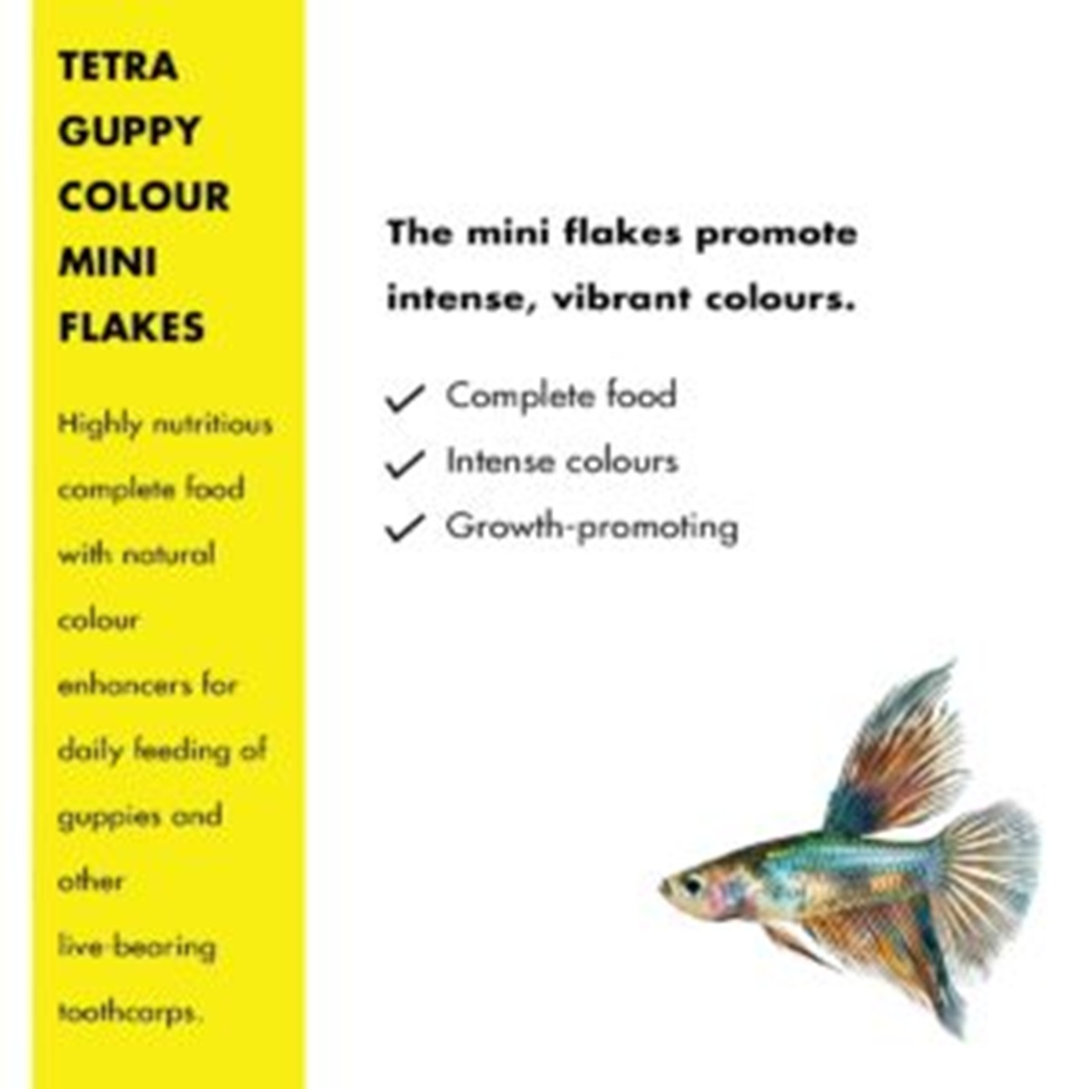 Tetra Guppy Colour Tetra Guppy Colour