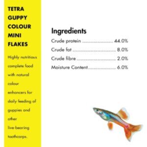 Tetra Guppy Colour