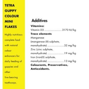 Tetra Guppy Colour