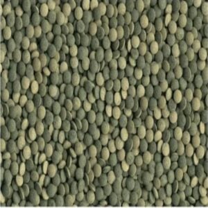 Tetra Pleco Tablets 36 gm /120 Tb - (Pack of 3)