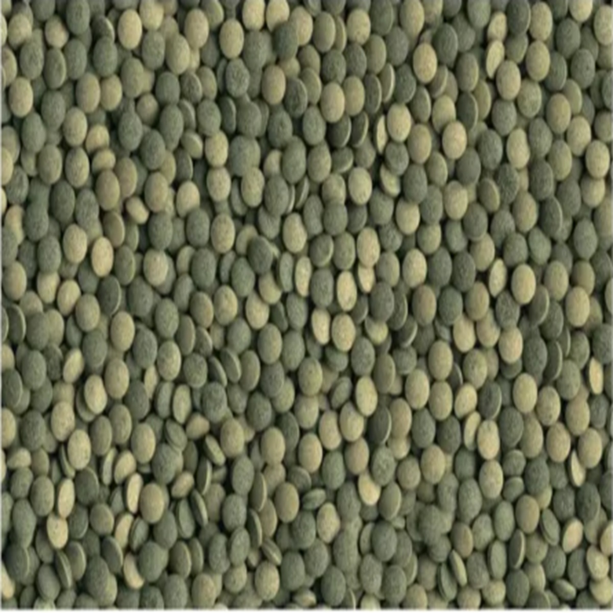Tetra Pleco Tablets 36 gm /120 Tb - (Pack of 3) Tetra Pleco Tablets 36 gm /120 Tb - (Pack of 3)