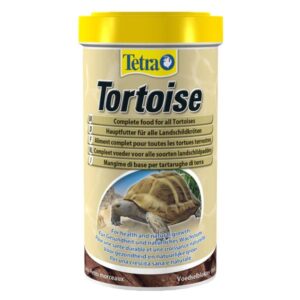 Tetra Tortoise