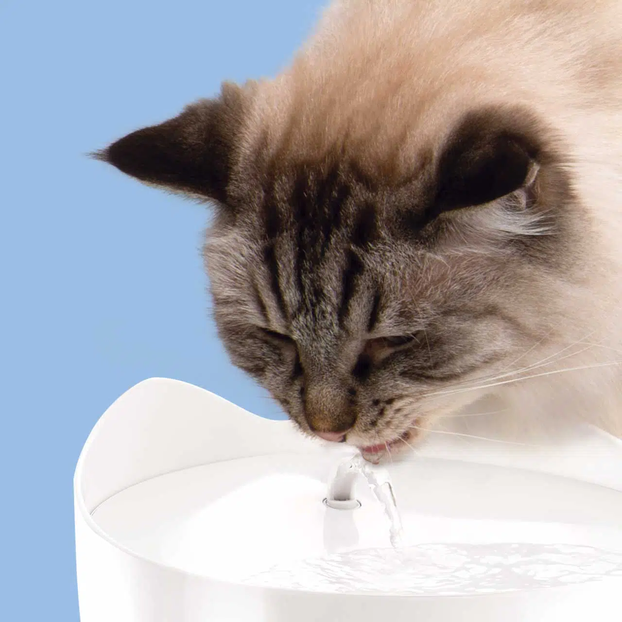 Catit Pixi Fountain - White (without adapter)