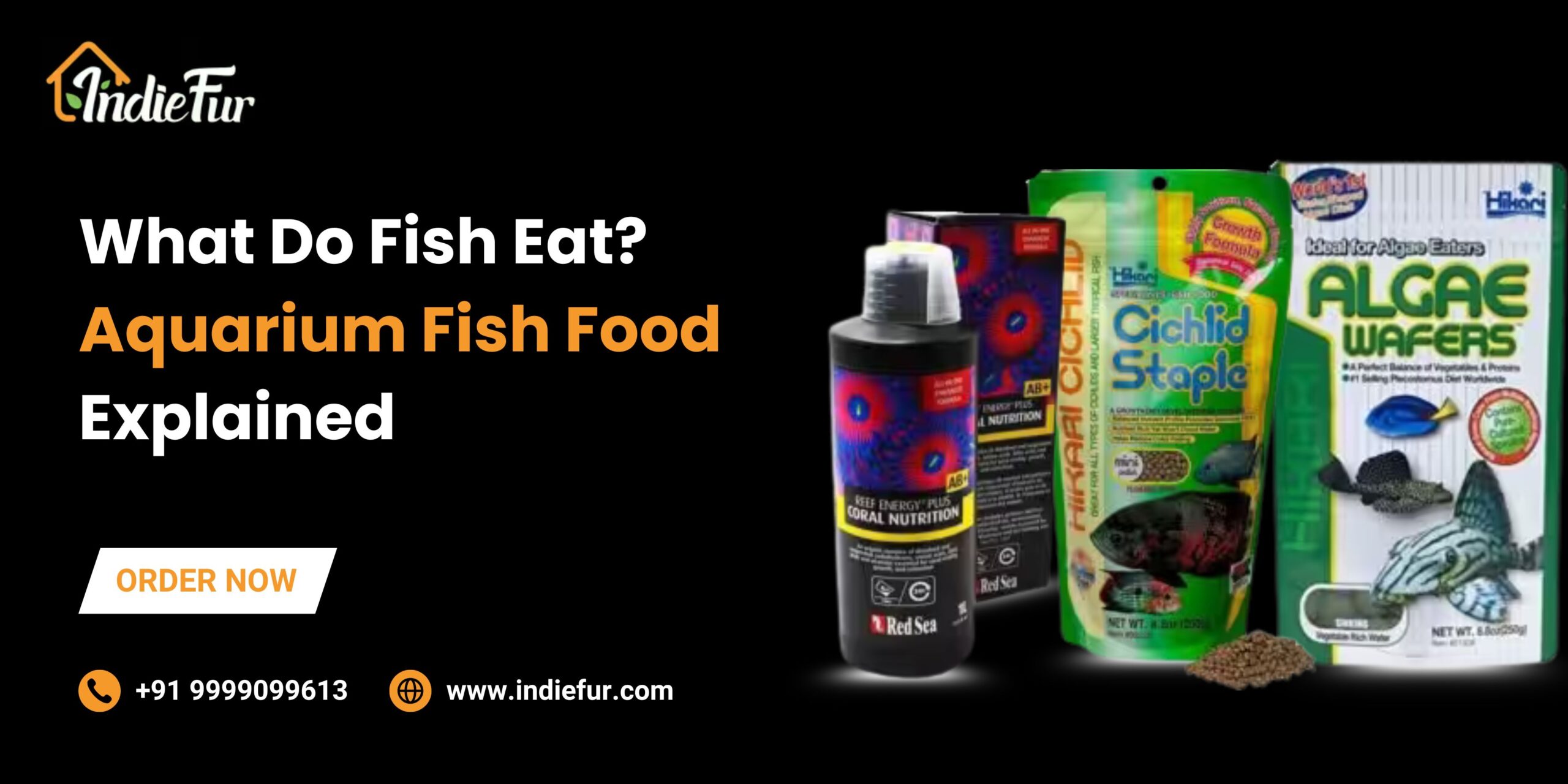 What Do Fish Eat? Aquarium Fish Food Explained What Do Fish Eat? Aquarium Fish Food Explained
