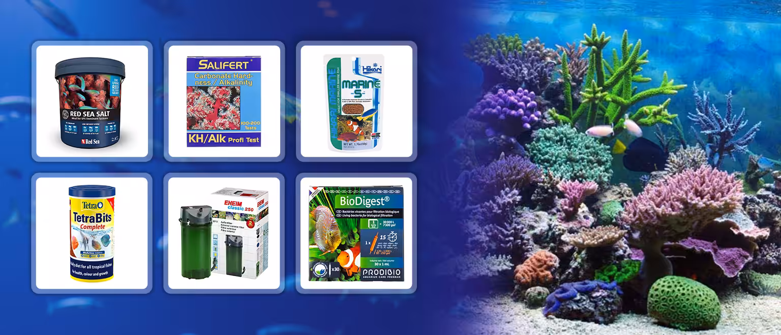 IndieFur - Branded Online Aquarium Store in India. IndieFur - Branded Online Aquarium Store in India.