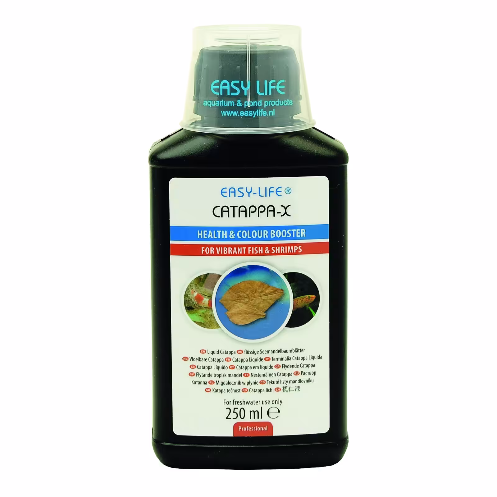 Easy Life Catappa - X 250 ml