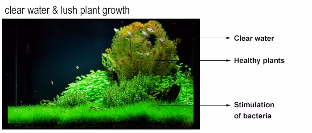 Easy Life Filter Medium 5000 ml Easy Life Filter Medium 5000 ml
