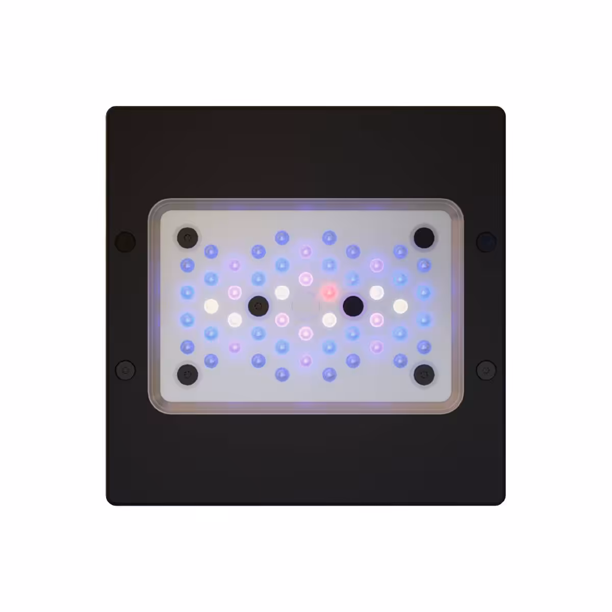 EcoTech Marine Radion XR15 G6 Blue LED Light
