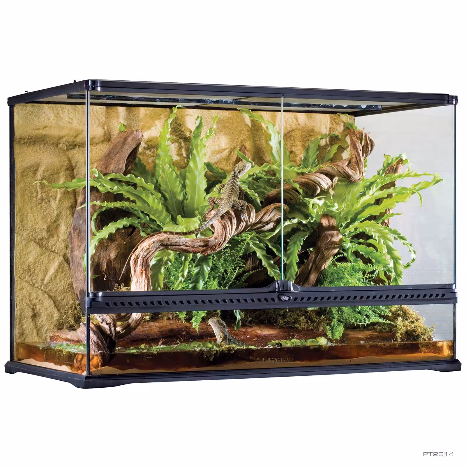 Exo Terra All Glass Terrarium 90 X 45 X 60 Cm