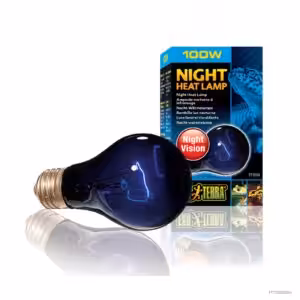 Exo Terra Night Heat Lamp 100 Watt