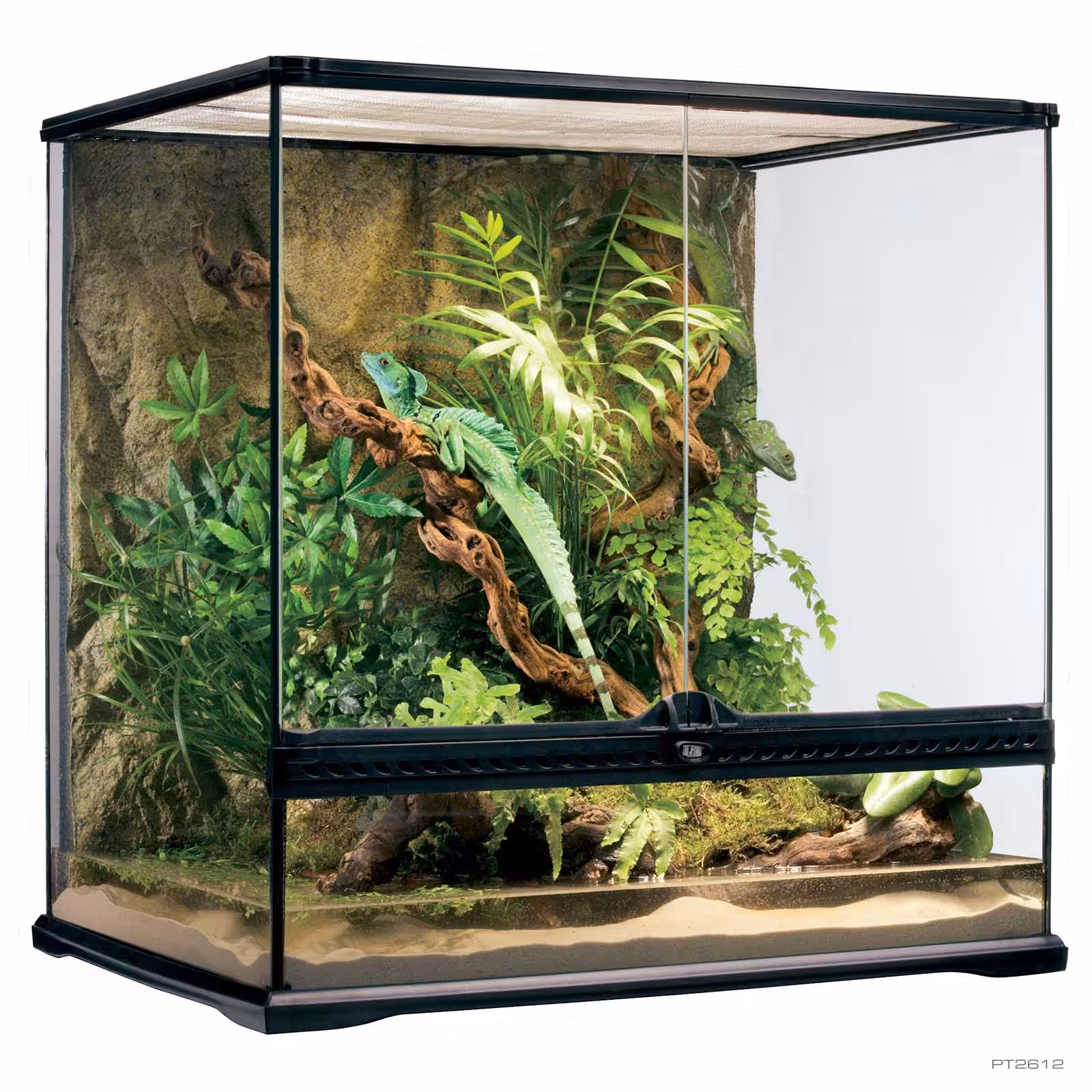 Exo-Terra Paludariums Natural Terrarium Medium Tall 2’WX1.5’Dx2’H 60*45*60 cm