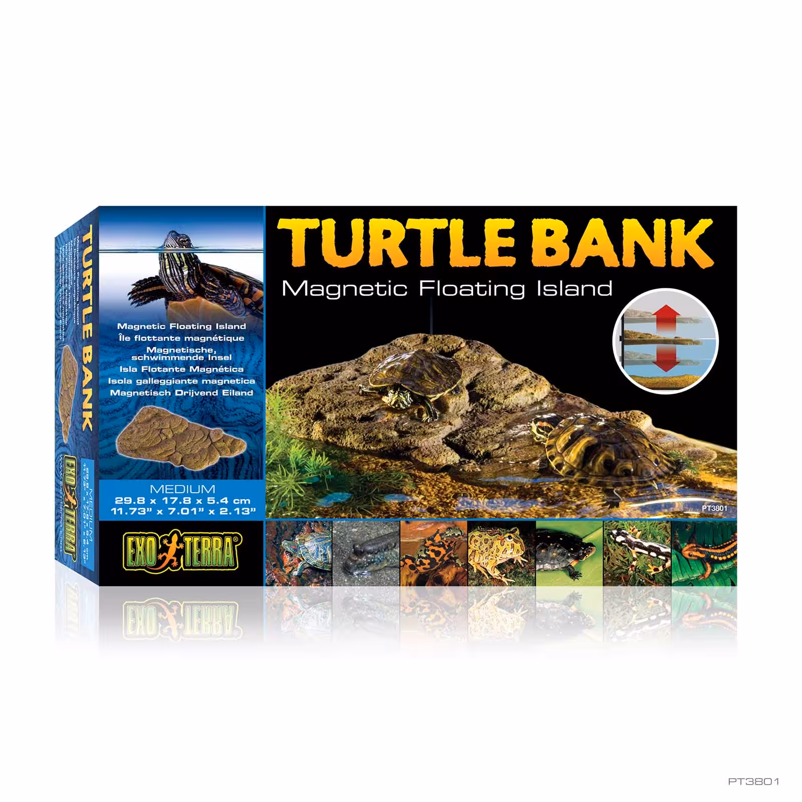 IndieFur - Branded Online Aquarium Store in India. Exo Terra Turtle Bank Medium