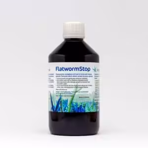 Korallen-Zucht FlatwormStop - 500 ml