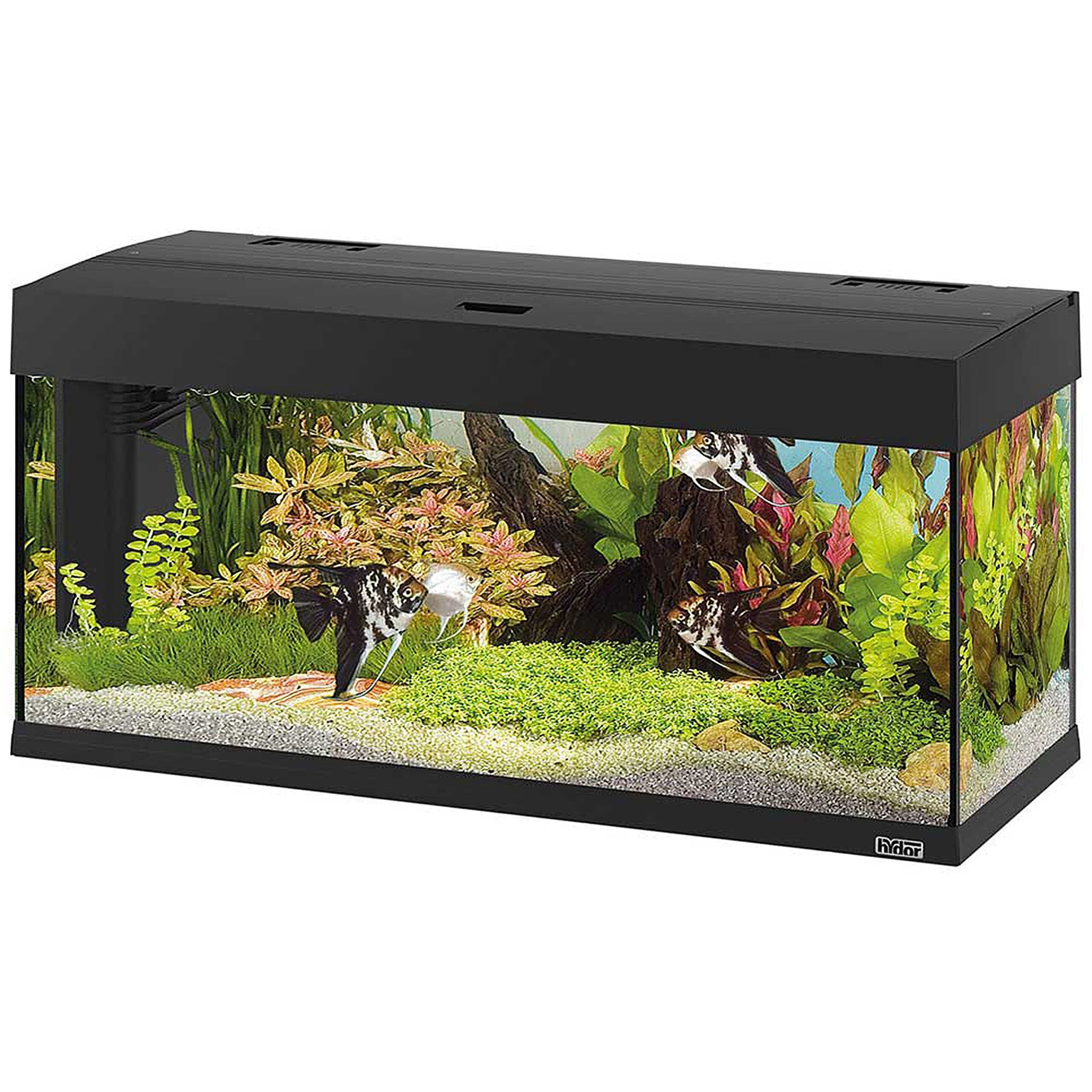 HYDOR DUBAI 100 LED - 190L Aquarium White