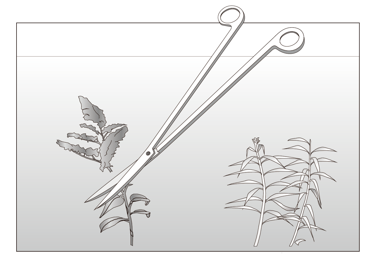 ISTA Pro Scissors Curve End Silver ISTA Pro Scissors Curve End Silver