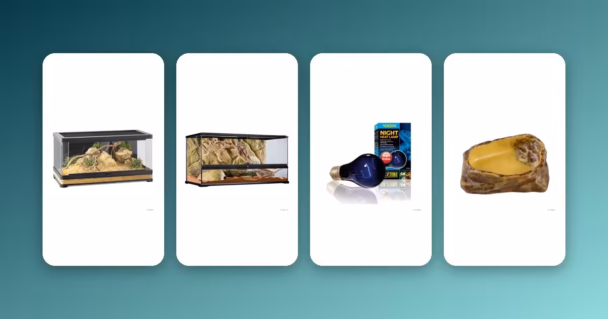 Reptile & Terrarium Buying Guide: Enclosure, Heat, UVB and Accessories Exo Terra terrarium, night heat lamp and water dish for a reptile setup