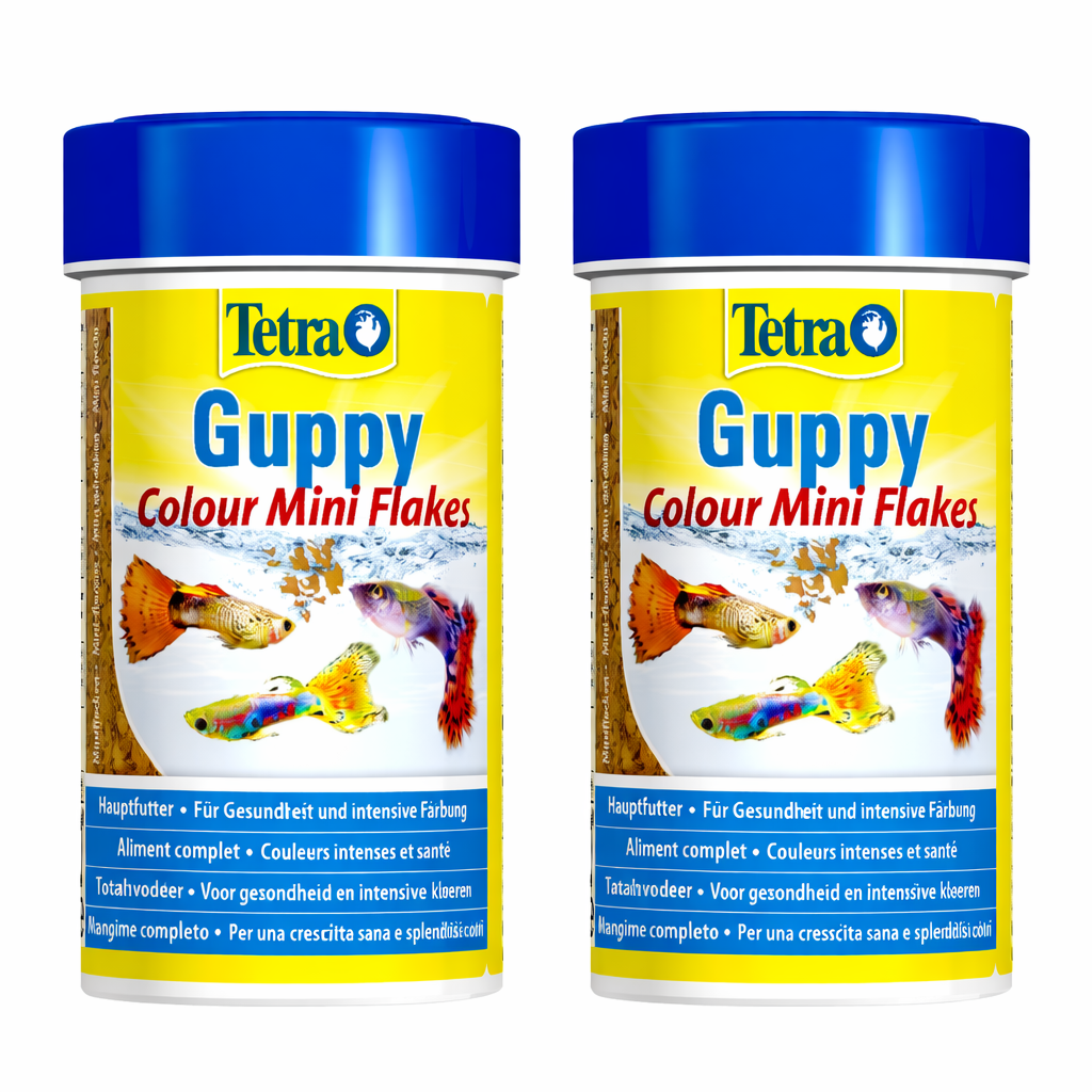 Tetra Guppy Colour Mini Flakes 30 gm / 100 ml - (Pack of 3) Tetra Guppy Colour Mini Flakes 30 gm / 100 ml - (Pack of 2)