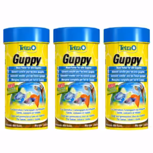 Tetra Guppy Flakes 30 gm / 100 ml (Pack of 3)