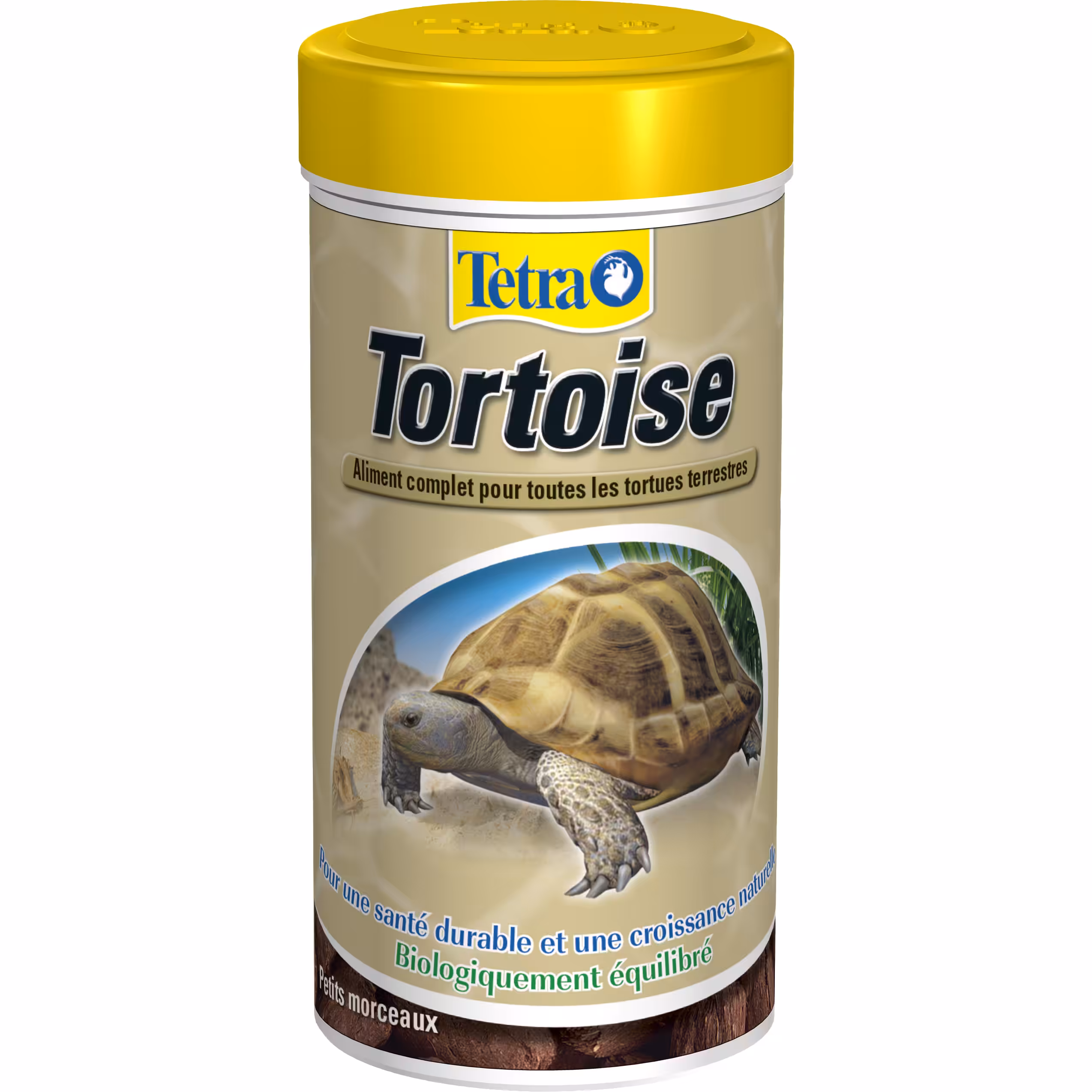 Tetra Tortoise